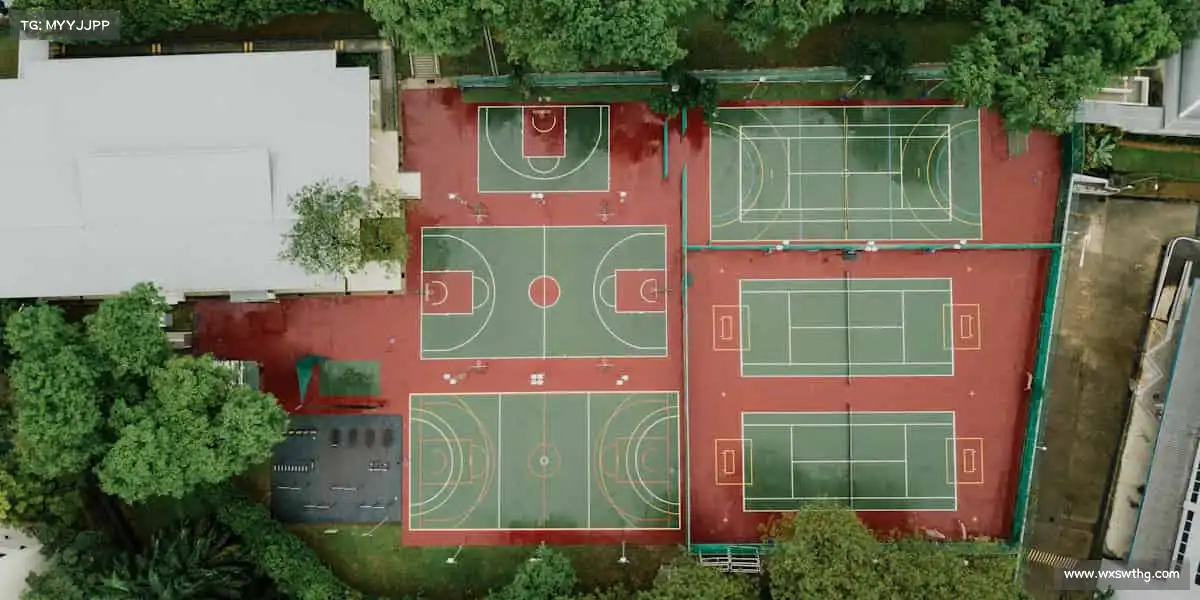 <strong>UED</strong>🥋武术之道，传承坚韧与勇气！